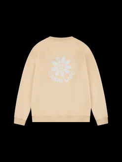 CL Sweater Men |^Poederbaas Outlet